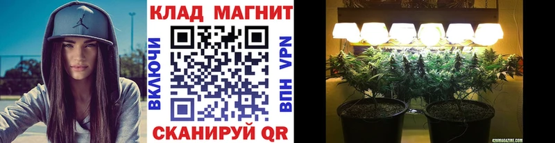 Где продают наркотики Архангельск АМФЕТАМИН  НБОМе  Канабис  Галлюциногенные грибы  COCAIN  Гашиш 