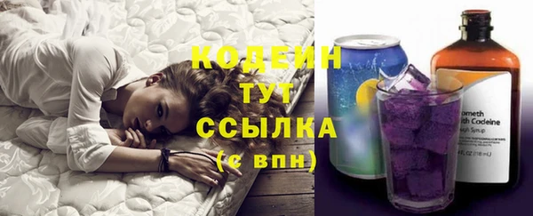 трава Болотное