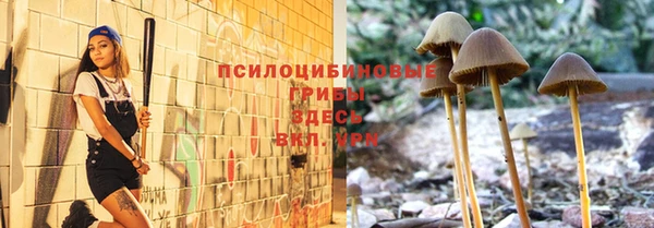 тгк Нея