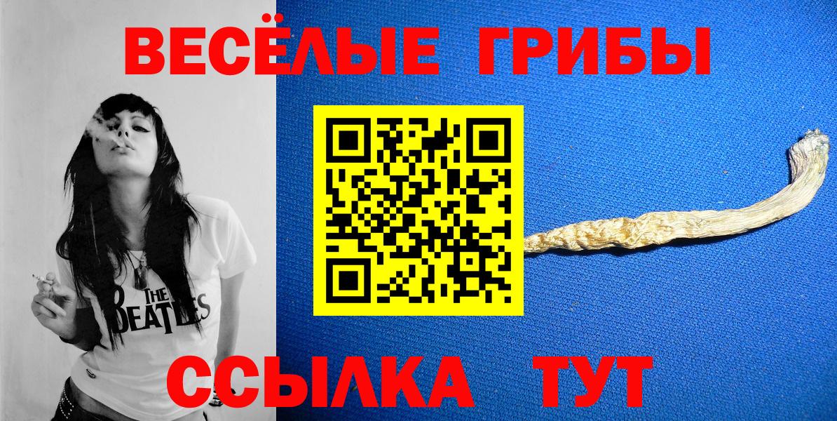 Псилоцибиновые грибы GOLDEN TEACHER Архангельск