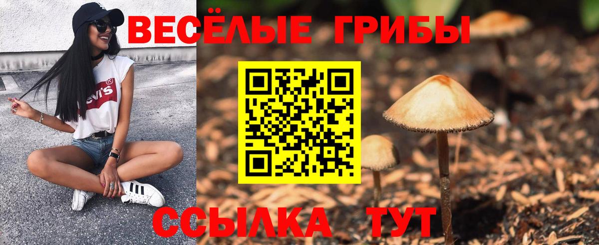 Архангельск  Псилоцибиновые грибы ЛСД  Вход с VPN 