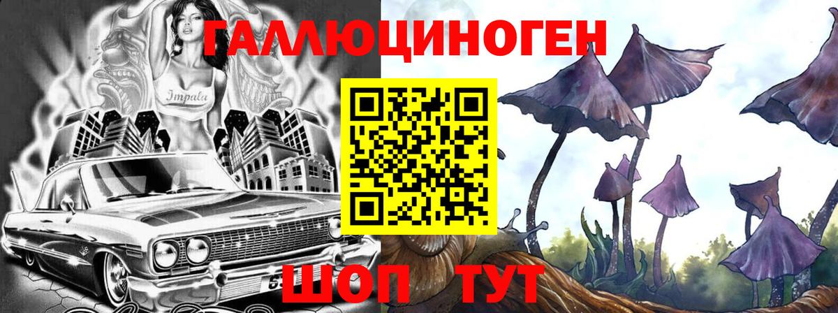 Галлюциногенные грибы мухоморы  Архангельск  Псилоцибиновые грибы GOLDEN TEACHER 